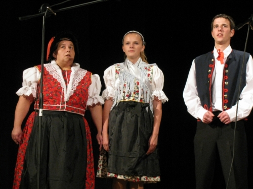 Hudobný folklór dospelých 2012