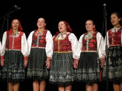 Hudobný folklór dospelých 2012