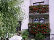 Najkrajší balkón, predzáhradka