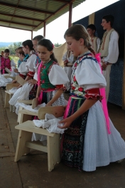 festival-vislanka