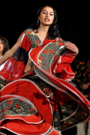 Festival rómskej kultúry a folklóru