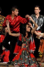 Festival rómskej kultúry a folklóru