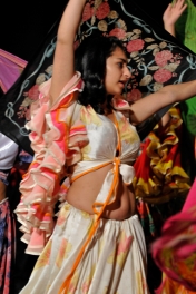 Festival rómskej kultúry a folklóru