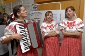 Naša Vansovej Lomnička