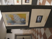 Prečo som na svete rád(a) - 2009