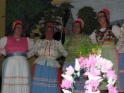 Okresná prehliadka hudobného folklóru dospelých, Kolačkov 2009