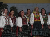 Okresná prehliadka hudobného folklóru dospelých, Kolačkov 2009