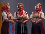 Makovická struna 2010